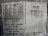 image of grave number 311150